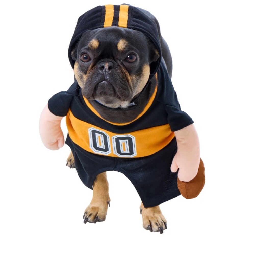 Adorable Orange and Black Football Jersey Walking Dog Pet Costume Size L NEW!